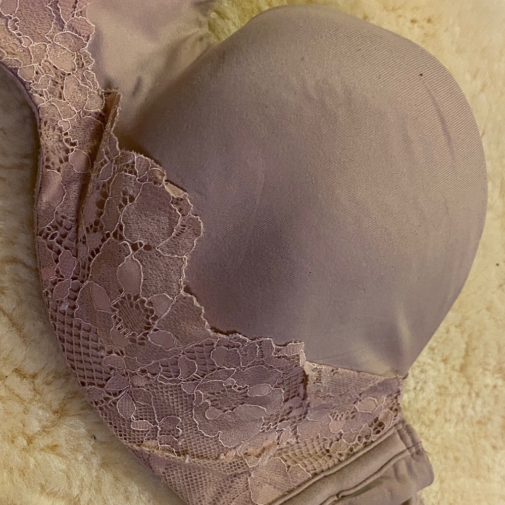 Victoria's Secret Lace Bra in Soft Pink